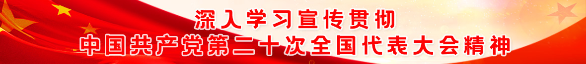 深入学习贯彻党的20大精神